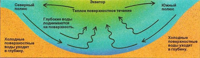 Причина течения воды. Глубинные течения. Течения поверхностные глубинные. Океанические течения. Поверхностные тёплые течения.