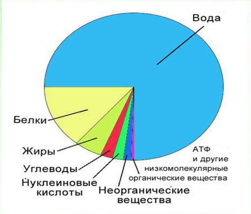 Содержание элементов в группах. Химический состав клетки диаграмма.